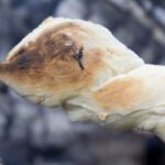 Buiten broodjes bakken Een broodje op een stok boven open vuur gebakken buiten Oudersvannature.nl