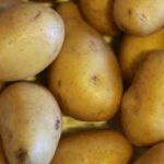 Moestuinieren met je kind: aardappels in emmers moestuinieren_beginners_aardappelen_in_emmers
