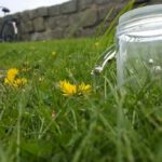 Kinderactiviteiten in de lente: zoek de dieren natuuractiviteit planten ademen
