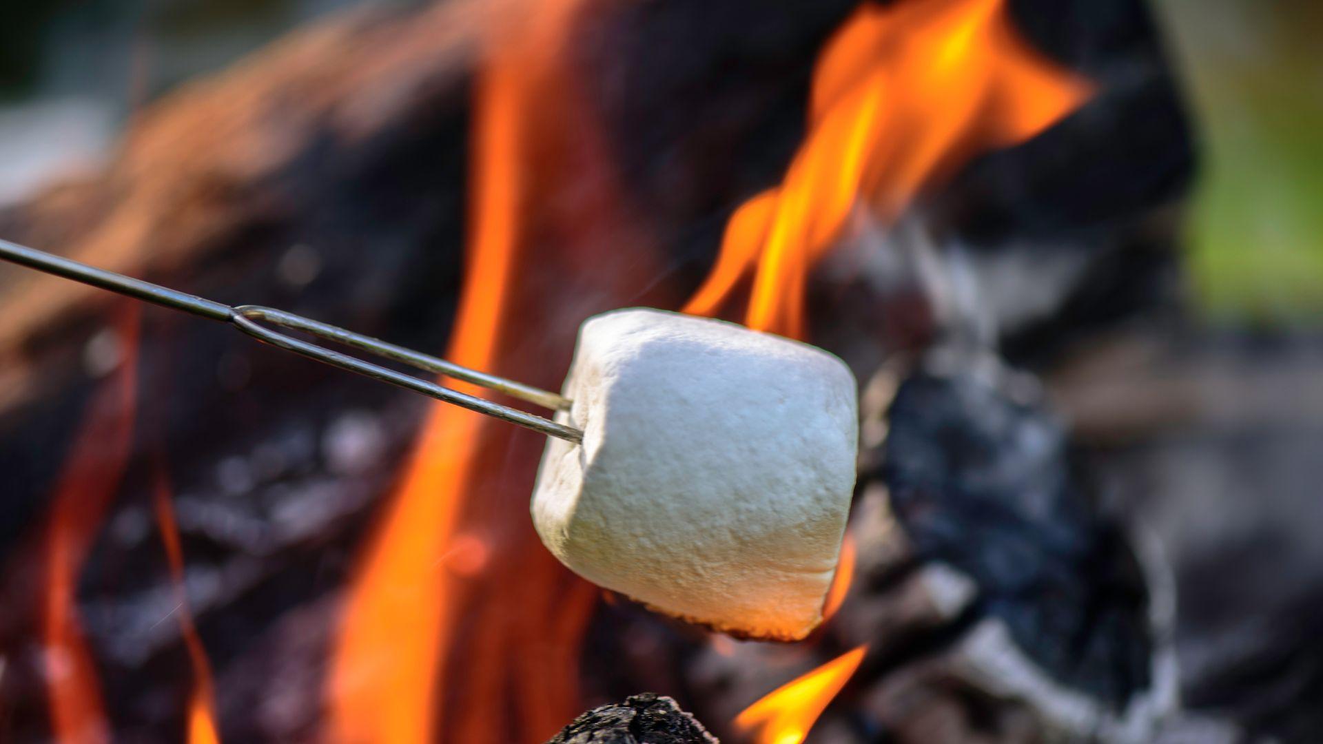Marshmellows bove een zelfgemaakt vuurtje.