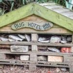 Hoe maak je een dierenhotel? Hoe maak je een insectenhotel?