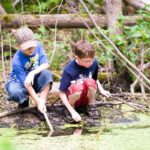 Onderzoek en waterdiertjes bij Slootdagen IVN waterdiertjes_onderzoek
