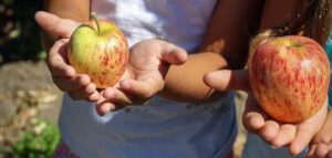 Smaaktest: kinderen proeven verschillende soorten appel