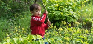 Kinderen houden van een wilde tuin