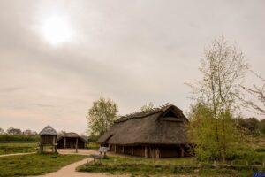 Een Bronstijdboerderij in het Oertijdpark van het Hunebedmuseum.
