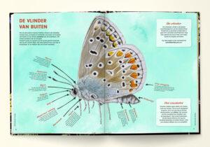 Handboek voor vlinderfans vlinders van buiten