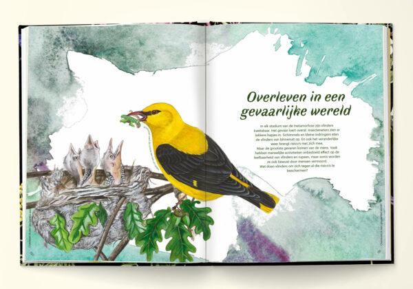 Handboek voor vlinderfans vogels eten rupsen